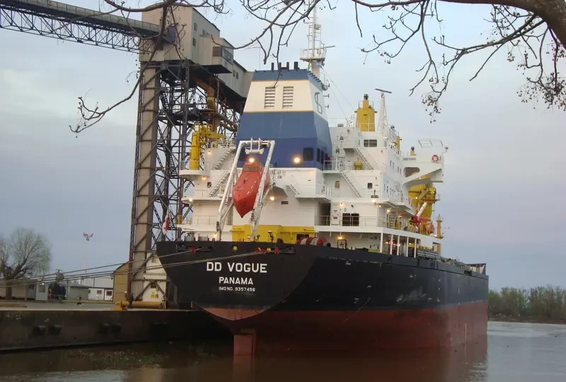 DD VOGUE Bulk Carrier IMO 9357456 photo 4