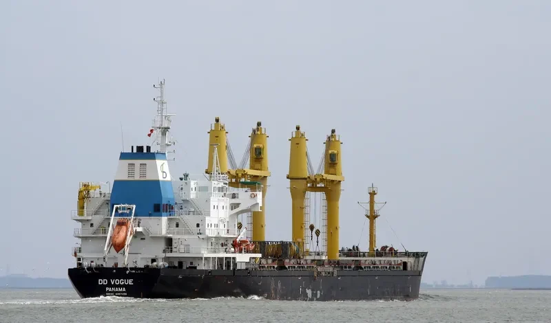 DD VOGUE Bulk Carrier IMO 9357456 photo 10