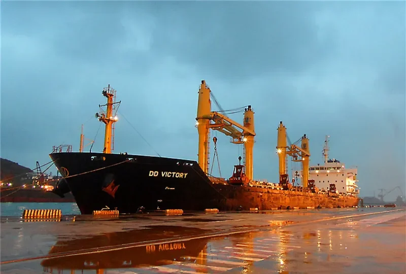 DD VICTORY Bulk Carrier IMO 9357468 photo 3