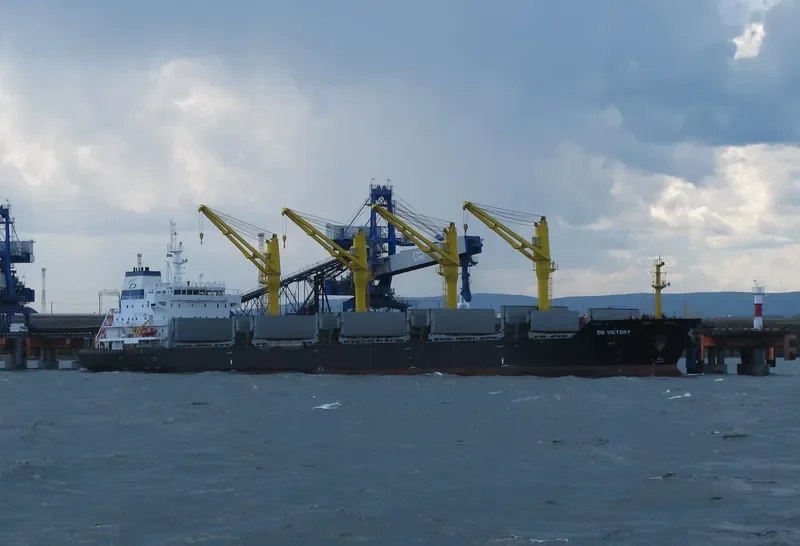 DD VICTORY Bulk Carrier IMO 9357468 photo 6