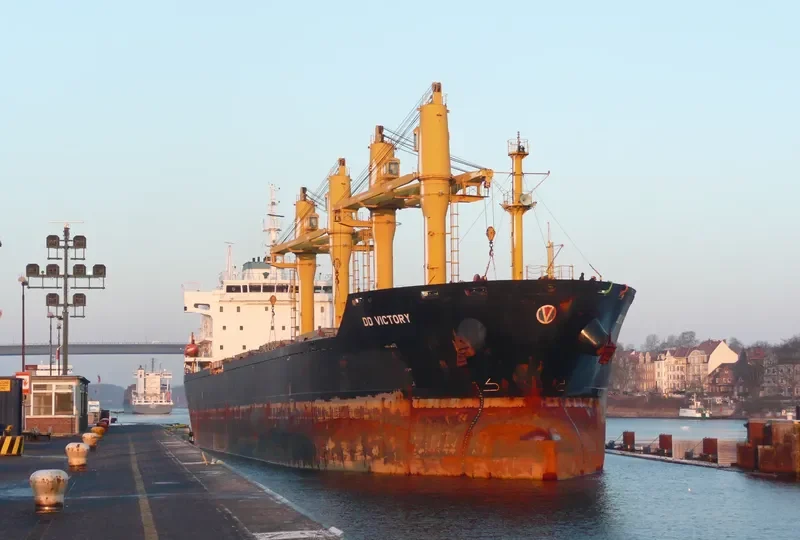 DD VICTORY Bulk Carrier IMO 9357468 photo 7