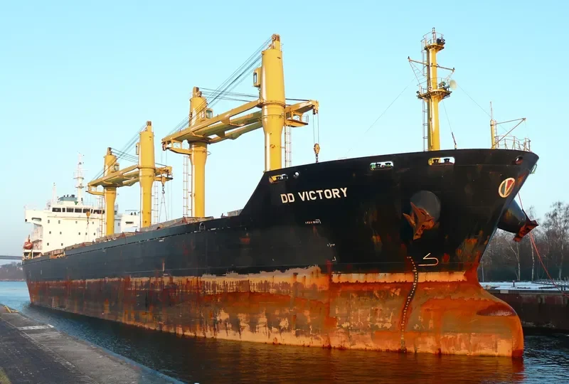 DD VICTORY Bulk Carrier IMO 9357468 photo 8
