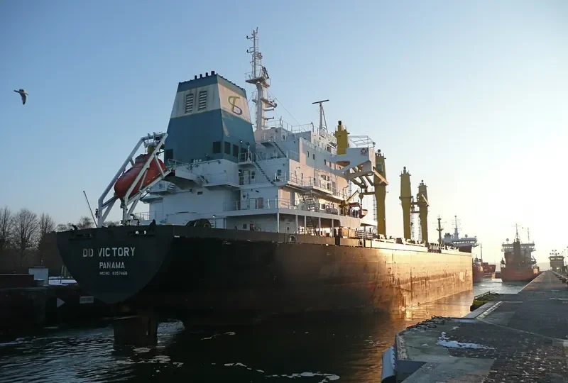 DD VICTORY Bulk Carrier IMO 9357468 photo 9