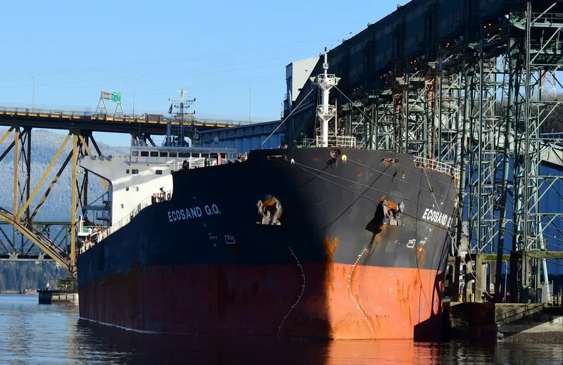 ECOSAND G.O. Bulk Carrier IMO 9357755 photo 2