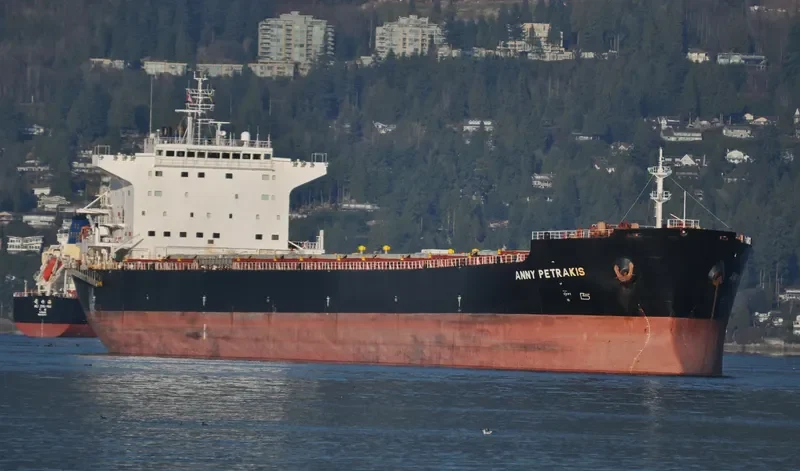 ANNY PETRAKIS Bulk Carrier IMO 9357767 photo 3