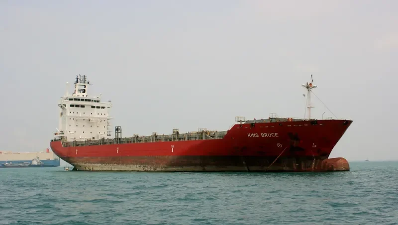 EF EMIRA Container Ship IMO 9357810 photo 29