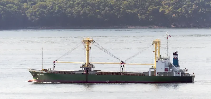 SDL KOBE General Cargo IMO 9357822 photo 6