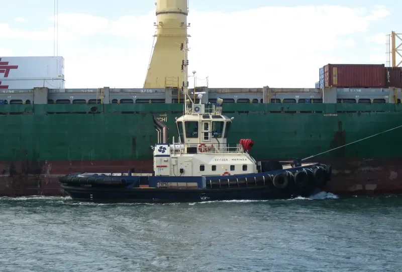 SVITZER MERINGA General Cargo IMO 9357834 photo 2
