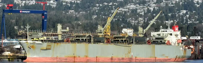 FOREST HARMONY Bulk Carrier IMO 9357896 photo 4