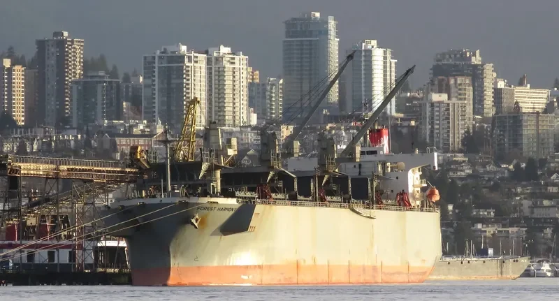 FOREST HARMONY Bulk Carrier IMO 9357896 photo 5