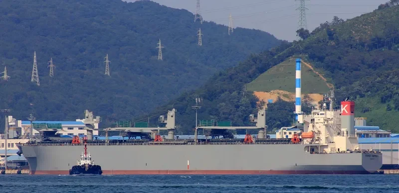 FOREST HARMONY Bulk Carrier IMO 9357896 photo 8
