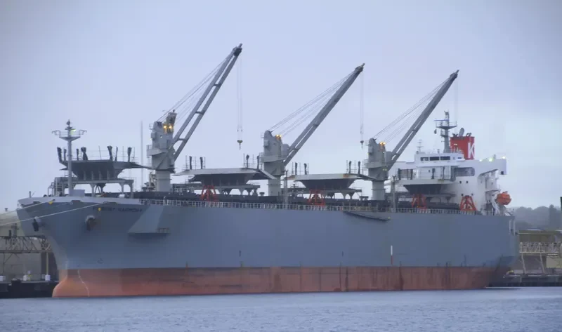 FOREST HARMONY Bulk Carrier IMO 9357896 photo 9