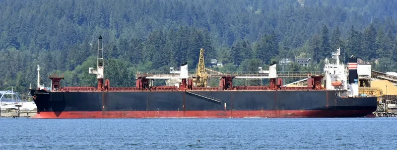 FIRST ANGEL Bulk Carrier IMO 9357901 photo 2
