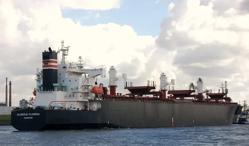 FIRST ANGEL Bulk Carrier IMO 9357901 photo 4