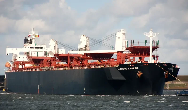 FIRST ANGEL Bulk Carrier IMO 9357901 photo 5