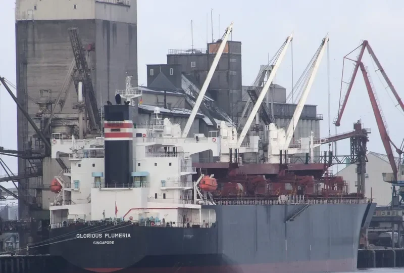 FIRST ANGEL Bulk Carrier IMO 9357901 photo 6
