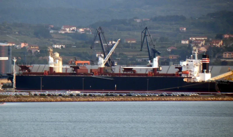 FIRST ANGEL Bulk Carrier IMO 9357901 photo 8