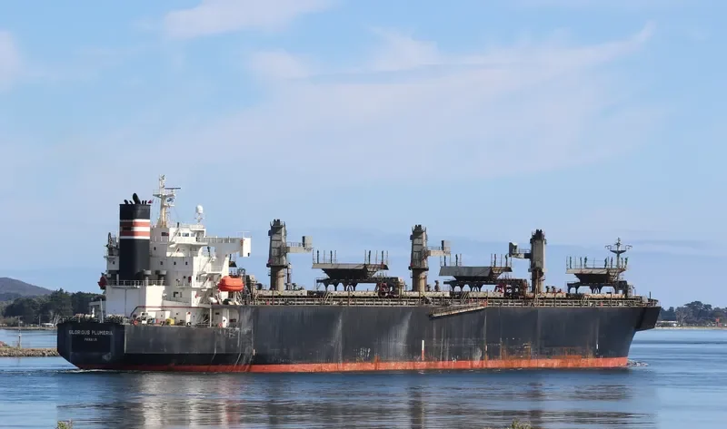 FIRST ANGEL Bulk Carrier IMO 9357901 photo 9