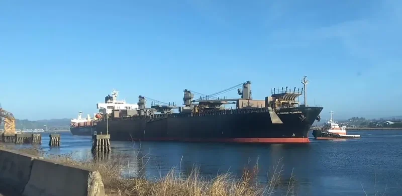 FIRST ANGEL Bulk Carrier IMO 9357901 photo 10