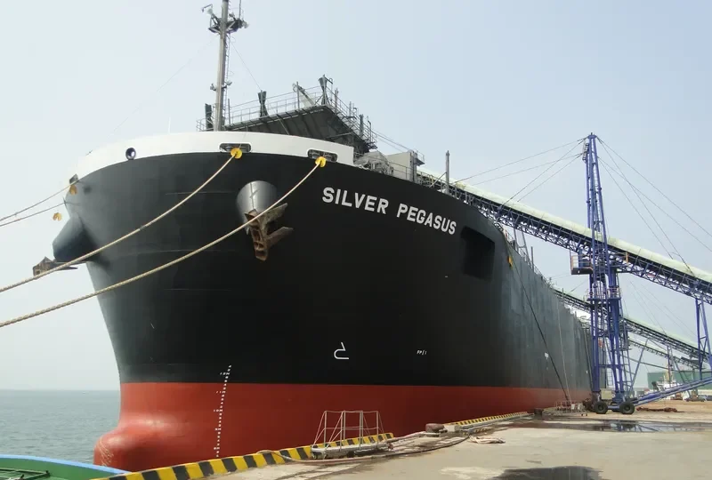 GLORIOUS LOTUS Bulk Carrier IMO 9357913
