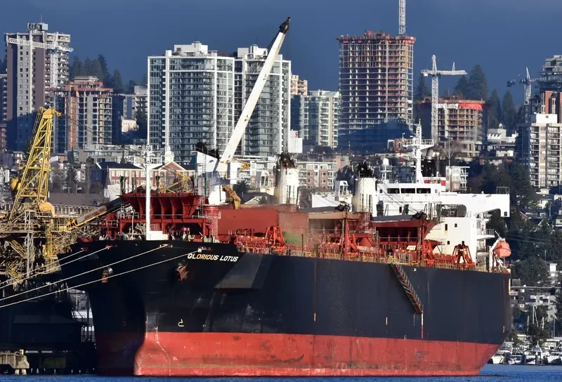 GLORIOUS LOTUS Bulk Carrier IMO 9357913 photo 6