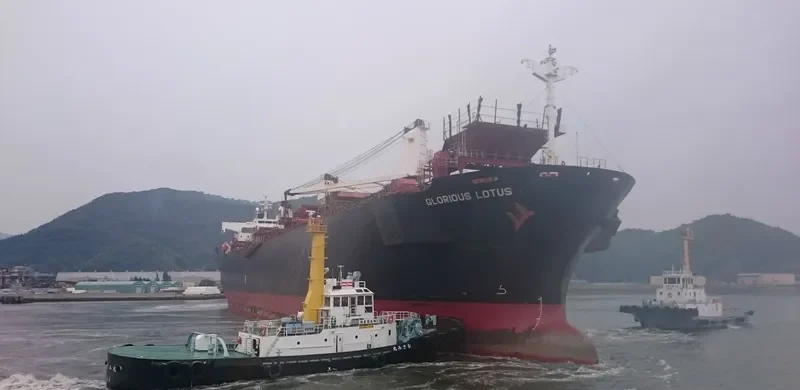 GLORIOUS LOTUS Bulk Carrier IMO 9357913 photo 8