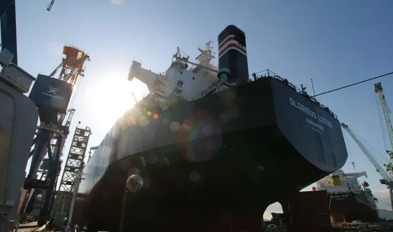 GLORIOUS LOTUS Bulk Carrier IMO 9357913 photo 10
