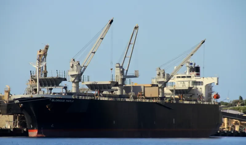 GLORIOUS MAPLE Bulk Carrier IMO 9357925 photo 3