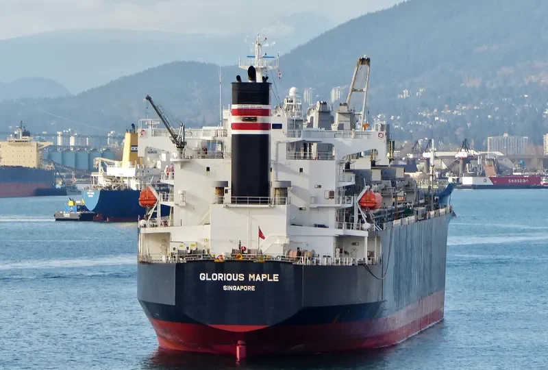 GLORIOUS MAPLE Bulk Carrier IMO 9357925 photo 4
