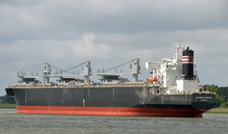 GLORIOUS MAPLE Bulk Carrier IMO 9357925 photo 5
