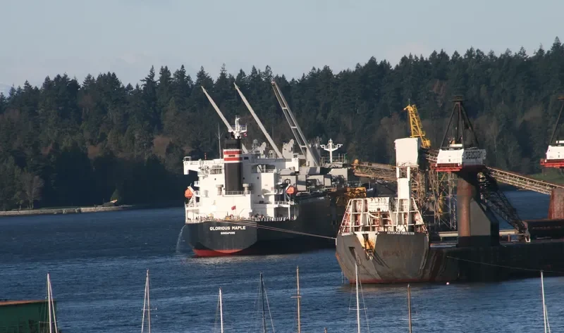 GLORIOUS MAPLE Bulk Carrier IMO 9357925 photo 6