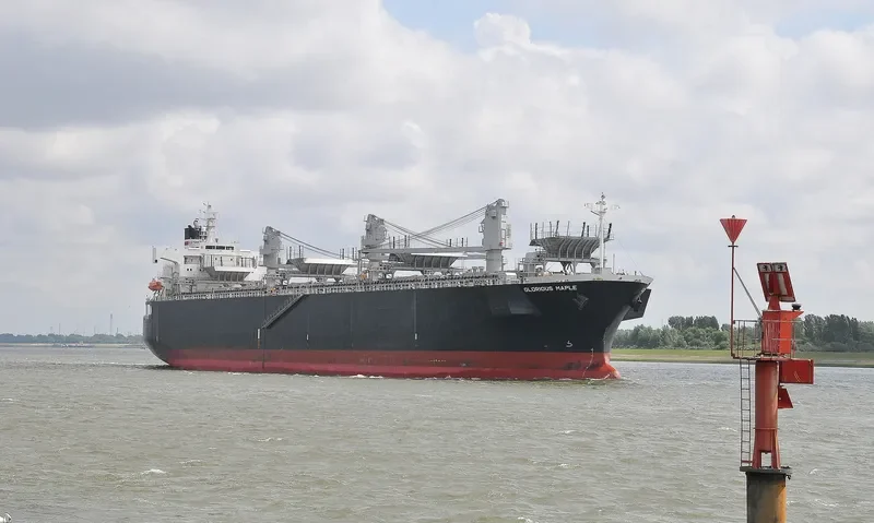 GLORIOUS MAPLE Bulk Carrier IMO 9357925 photo 10