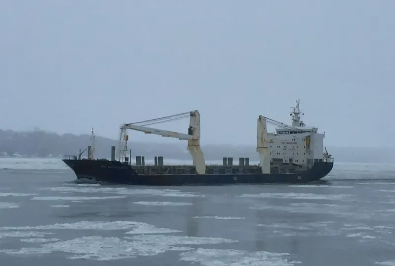LOTTA AUERBACH General Cargo IMO 9358022 photo 7