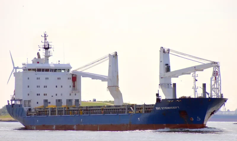 MERATUS PROJECT 3 General Cargo IMO 9358046 photo 10