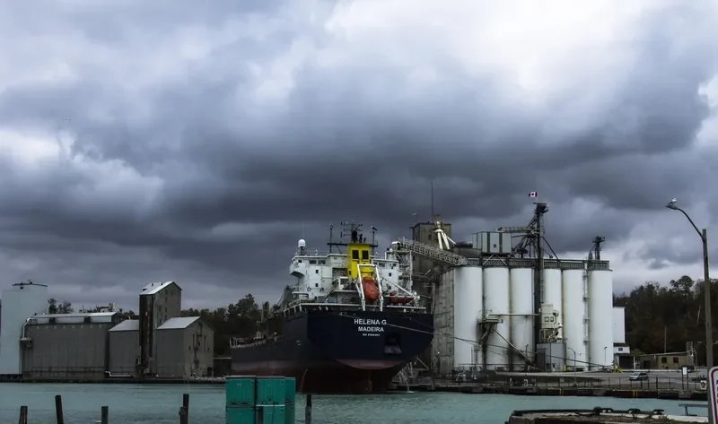 HELENA G Bulk Carrier IMO 9358383