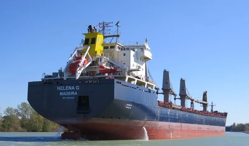 HELENA G Bulk Carrier IMO 9358383 photo 2