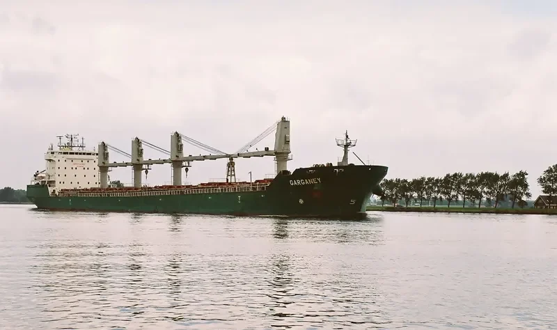 HELENA G Bulk Carrier IMO 9358383 photo 5