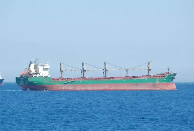 HELENA G Bulk Carrier IMO 9358383 photo 6