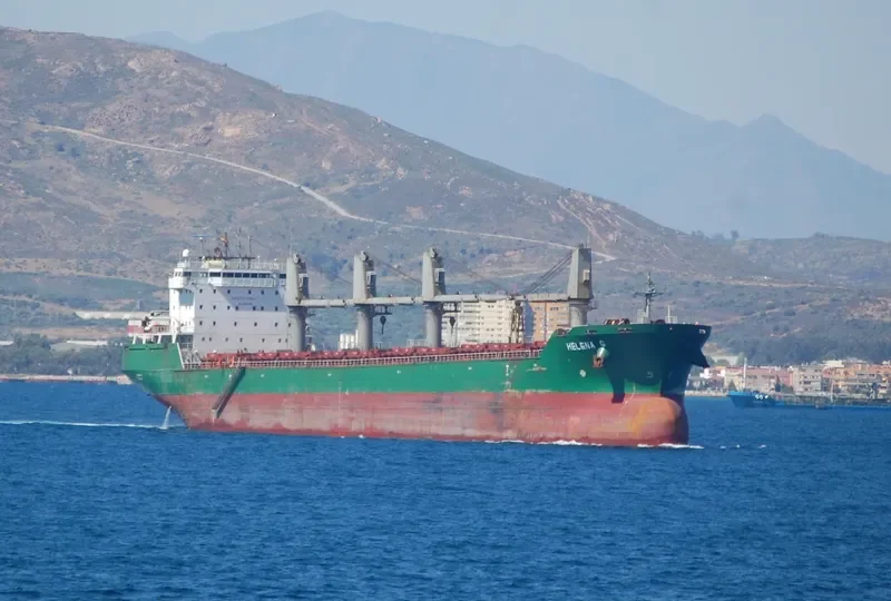 HELENA G Bulk Carrier IMO 9358383 photo 8