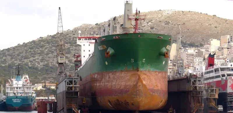 WIGEON Bulk Carrier IMO 9358395 photo 2