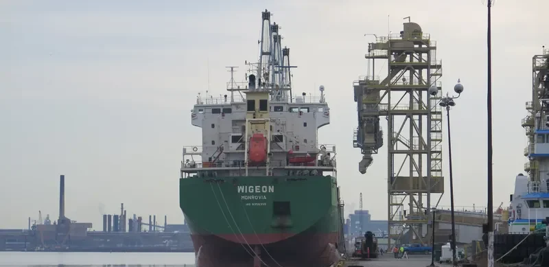 WIGEON Bulk Carrier IMO 9358395 photo 3
