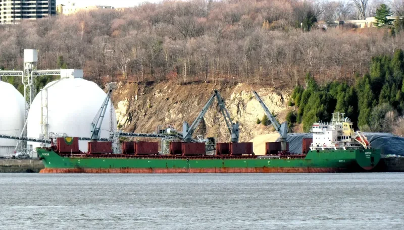 WIGEON Bulk Carrier IMO 9358395 photo 4