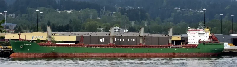 WIGEON Bulk Carrier IMO 9358395 photo 5