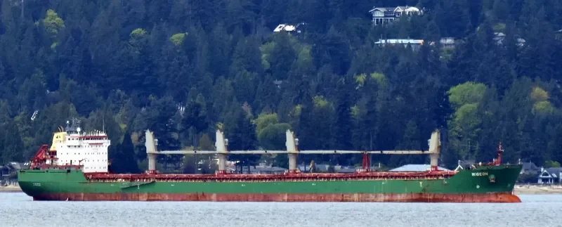 WIGEON Bulk Carrier IMO 9358395 photo 7