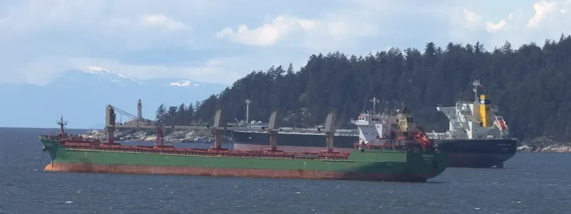 WIGEON Bulk Carrier IMO 9358395 photo 8