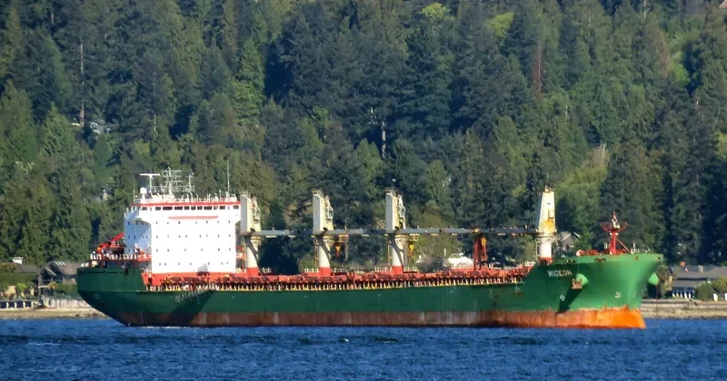 WIGEON Bulk Carrier IMO 9358395 photo 9