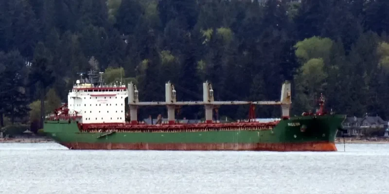 WIGEON Bulk Carrier IMO 9358395 photo 10