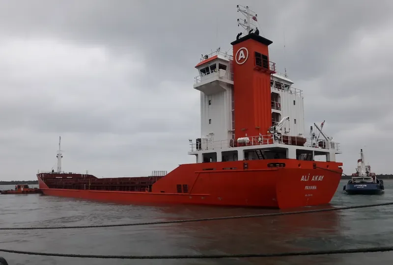 ALI AKAY General Cargo IMO 9358759