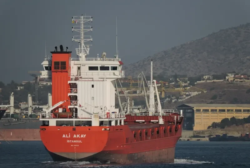 ALI AKAY General Cargo IMO 9358759 photo 10