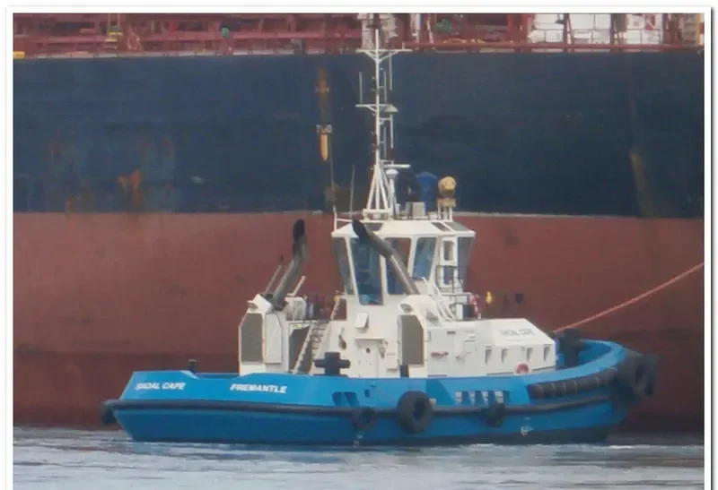 SHOAL CAPE General Cargo IMO 9358785 photo 2